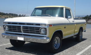 1973-f100